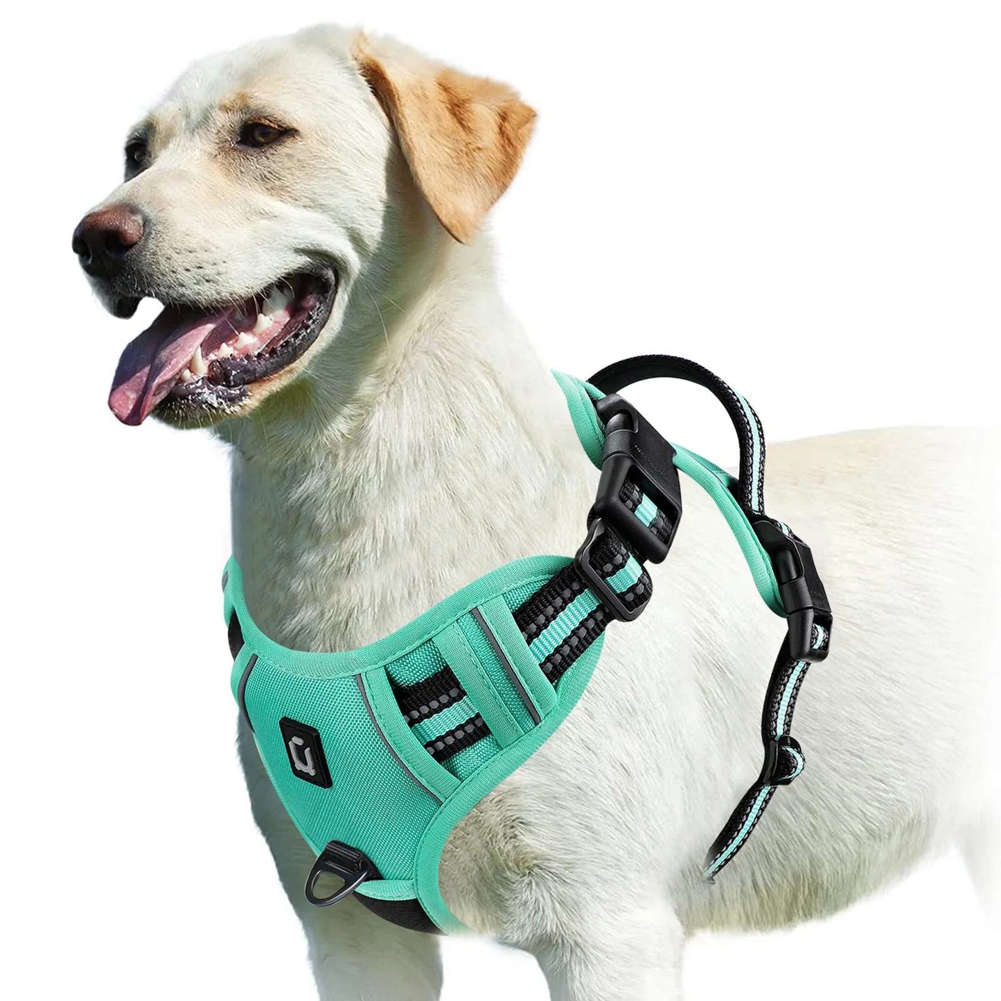 No Pull Hundegeschirr – Atmungsaktiv & Reflektierend