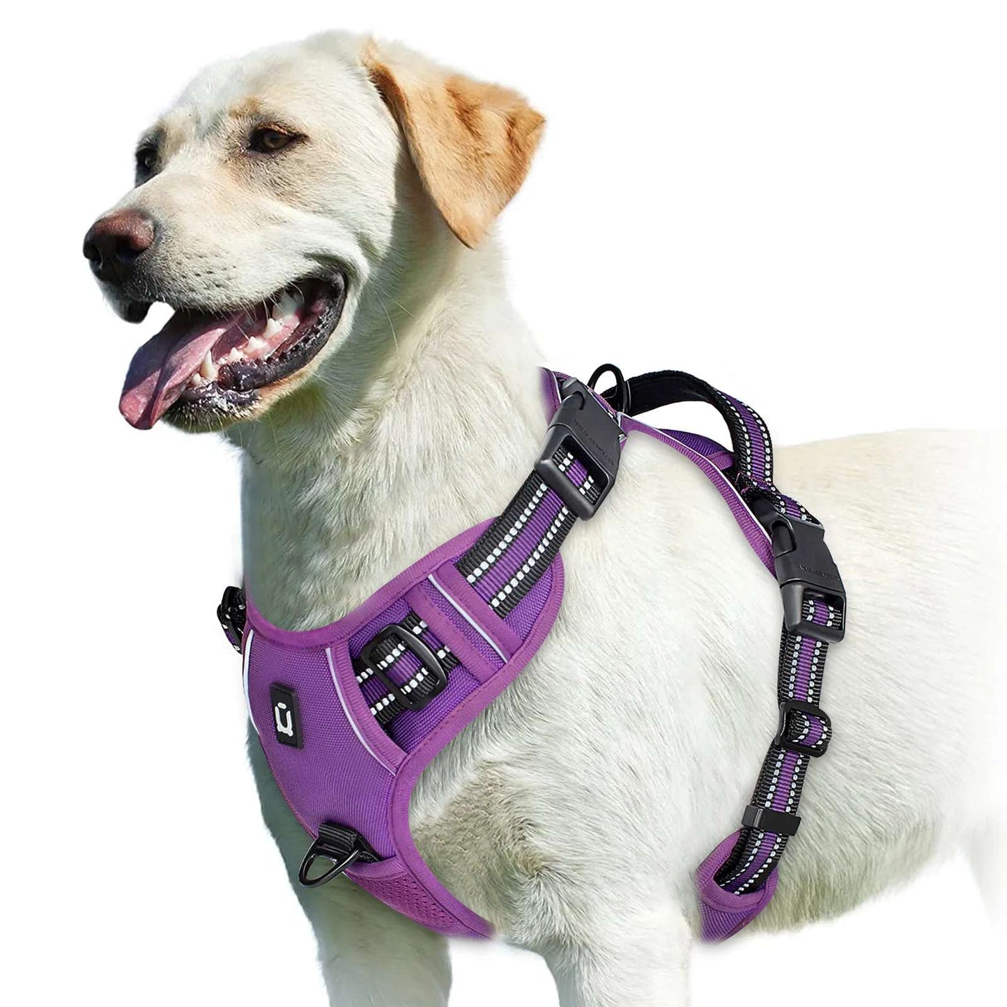 No Pull Hundegeschirr – Atmungsaktiv & Reflektierend