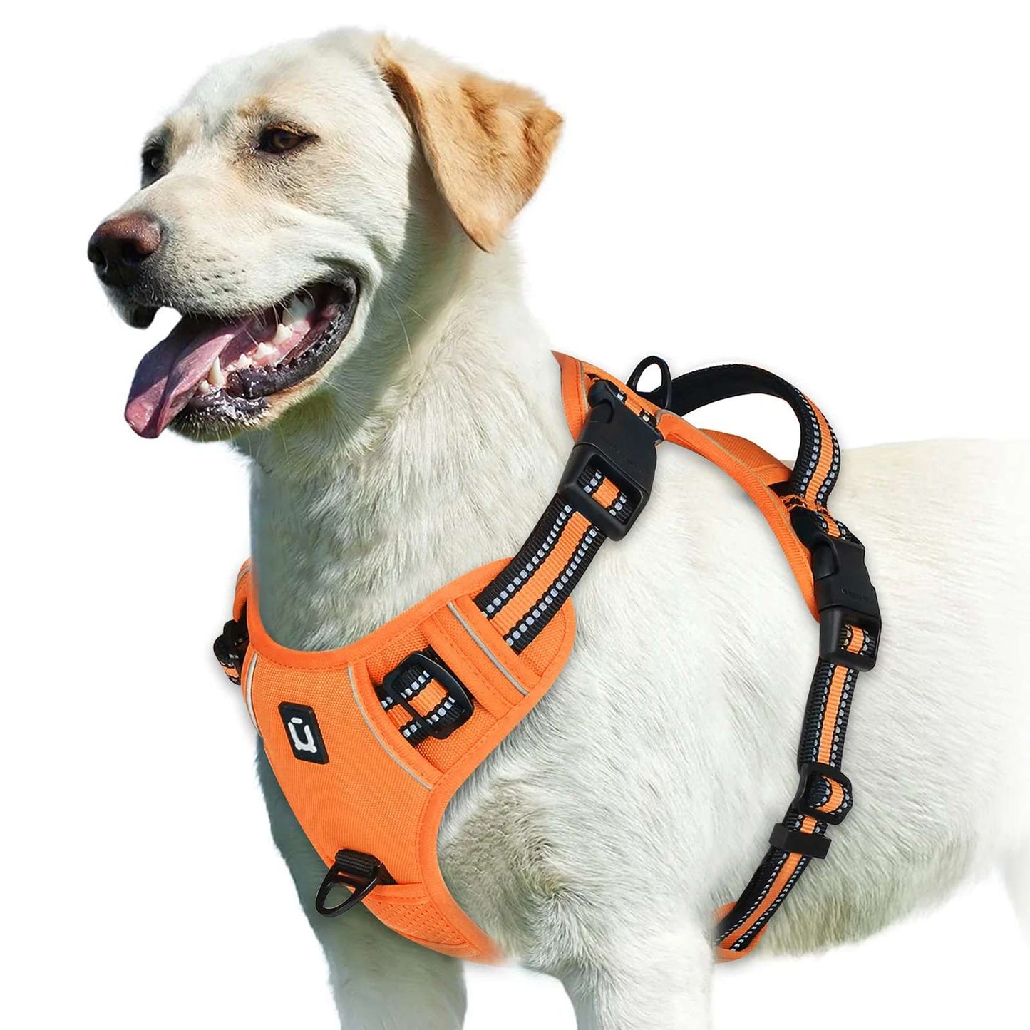 No Pull Hundegeschirr – Atmungsaktiv & Reflektierend