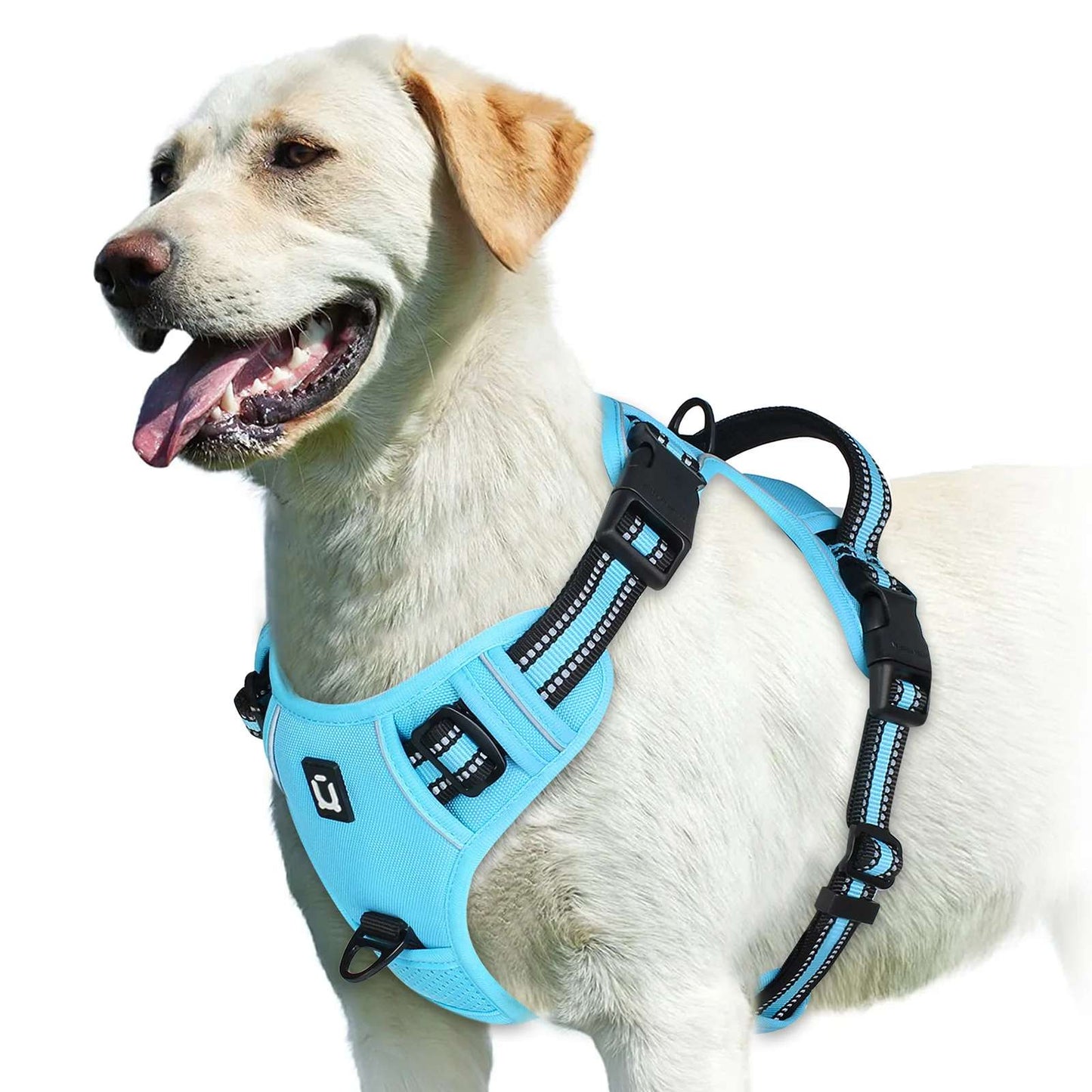 No Pull Hundegeschirr – Atmungsaktiv & Reflektierend
