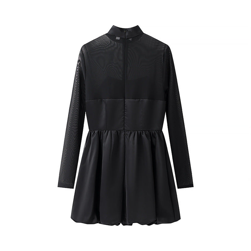 Black Mini Dress with Sheer Long Sleeves